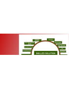 Skill Solutions